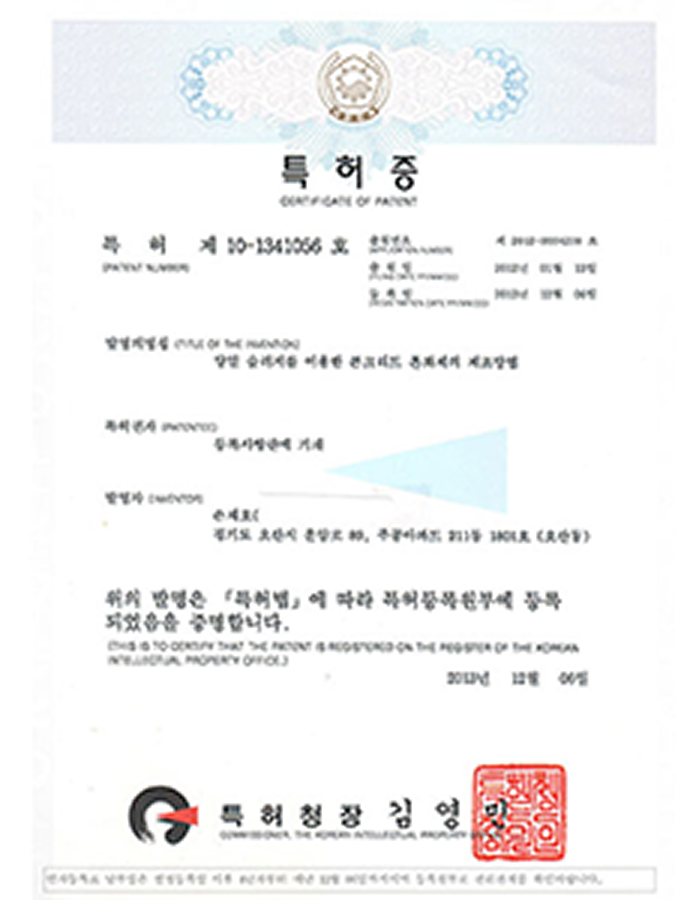 제 10-1341056호