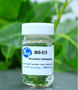 BNB-G19